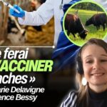 Un éleveur se voit imposer le vaccin contre la DNC  sans raison sanitaire