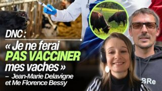 Un éleveur se voit imposer le vaccin contre la DNC  sans raison sanitaire