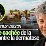 Vaccins DNC: quels impacts à long terme sur la fertilité et la survie des bovins? Avec Hélène Banoun