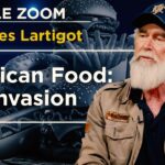 « American Food » : Comment le « Fast Food » a américanisé nos assiettes – Le Zoom – Gilles Lartigot « American Food » : Comment le « Fast Food » a américanisé nos assiettes – Le Zoom – Gilles Lartigot