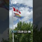 Ce que le drapeau LGBTQ représente vraiment.