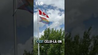 Ce que le drapeau LGBTQ représente vraiment. Ce que le drapeau LGBTQ représente vraiment.