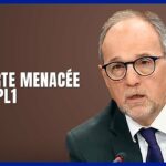 🏛️ Constitution du Québec : la Charte des droits menacée?