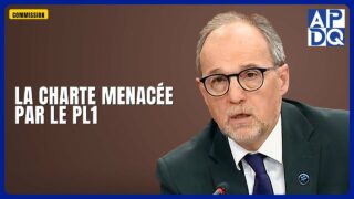 🏛️ Constitution du Québec : la Charte des droits menacée?