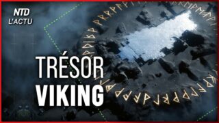 Découverte du plus grand trésor de l&rsquo;ère viking, comptant plus de 4 000 pièces