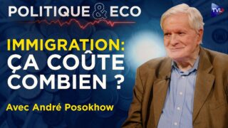 Immigration : la facture que l&rsquo;État vous cache – Politique & Eco avec André Posokhow – TVL