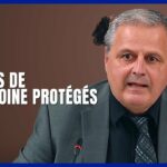 🏛️ Le monastère des Ursulines protégé par une loi historique!