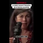Le traumatisme maternel in utero : ce que le bébé ressent vraiment. Le traumatisme maternel in utero : ce que le bébé ressent vraiment.