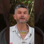 Les graisses sont des organes endocriniens : Le rôle de la leptine, de l&rsquo;adiponectine et Co.