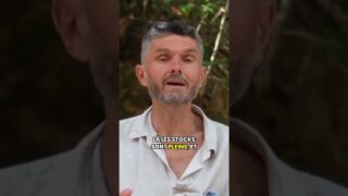 Les graisses sont des organes endocriniens : Le rôle de la leptine, de l’adiponectine et Co. Les graisses sont des organes endocriniens : Le rôle de la leptine, de l’adiponectine et Co.