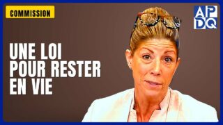 🔔 PL4 ADOPTÉ : une loi pour protéger les victimes de violence conjugale 🔔 PL4 ADOPTÉ : une loi pour protéger les victimes de violence conjugale