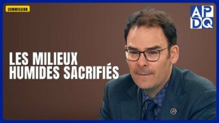 🌿 PL5 : les milieux humides provisoires laissés sans protection?