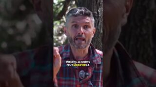 Pourquoi tu sens des fraises quand moi je sens des ananas   L&rsquo;aliesthésie expliquée