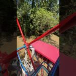 POV : tu montes sur la grande roue du festival Nexus 😎
