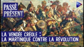 Quand la Martinique se révolte contre la Révolution ! Passé-Présent – Odile de Lacoste Lareymondie Quand la Martinique se révolte contre la Révolution ! Passé-Présent – Odile de Lacoste Lareymondie