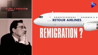 Remigration : l’heure du retour au pays ? Le Plus d&rsquo;Eléments – TVL