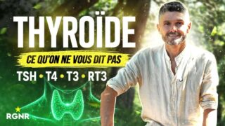 Thyroïde, ce que l&rsquo;on ne vous dit pas : TSH, T4, T3, rT3 | Hormones #3