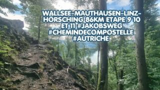 Wallsee-Mauthausen-Linz-Hörsching 86km Etape 9 10 et 11 #Jakobsweg #Autriche #chemindecompostelle