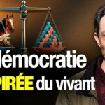 Ce que la nature nous apprend sur la démocratie — Entretien avec Guillaume Reffay Ce que la nature nous apprend sur la démocratie — Entretien avec Guillaume Reffay