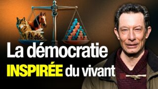 Ce que la nature nous apprend sur la démocratie — Entretien avec Guillaume Reffay