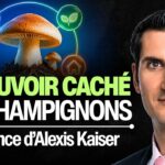 Conférence : Et si le plus grand trésor de la nature poussait sous nos pieds ? 🍄 – Alexis Kaiser Conférence : Et si le plus grand trésor de la nature poussait sous nos pieds ? 🍄 – Alexis Kaiser