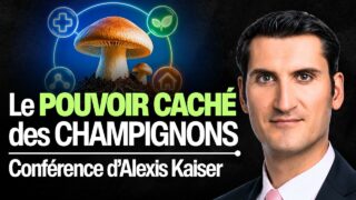 Conférence : Et si le plus grand trésor de la nature poussait sous nos pieds ? 🍄 – Alexis Kaiser