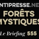 FORÊTS MYSTIQUES 17.7.2026 — Le briefing avec Slobodan Despot FORÊTS MYSTIQUES 17.7.2026 — Le briefing avec Slobodan Despot