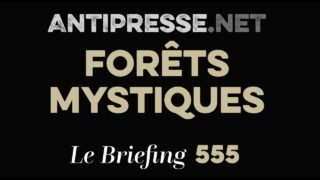 FORÊTS MYSTIQUES 17.7.2026 — Le briefing avec Slobodan Despot FORÊTS MYSTIQUES 17.7.2026 — Le briefing avec Slobodan Despot