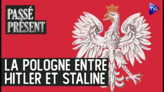 Janusz Radziwill, la raison et l&rsquo;honneur – Passé-Présent avec Cédric de Fougerolles – TVL