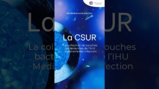 La CSUR : La collection de souches bactériennes de l’IHU Méditerranée Infection La CSUR : La collection de souches bactériennes de l’IHU Méditerranée Infection