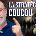 « Le racisme anti-blanc prospère depuis 50 ans » — François Bousquet « Le racisme anti-blanc prospère depuis 50 ans » — François Bousquet