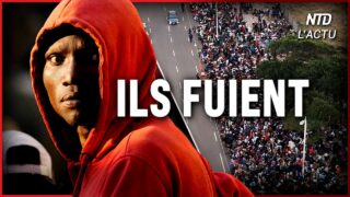 Les Sud-Africains se soulèvent et expulsent eux-mêmes les immigrés clandestins. Les Sud-Africains se soulèvent et expulsent eux-mêmes les immigrés clandestins.