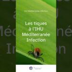 Les tiques à l’IHU Méditerranée Infection Les tiques à l’IHU Méditerranée Infection