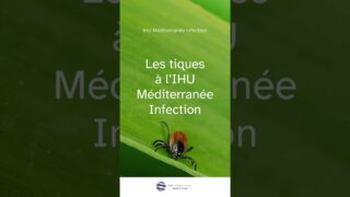 Les tiques à l’IHU Méditerranée Infection Les tiques à l’IHU Méditerranée Infection