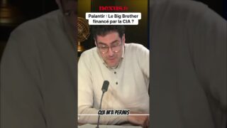 Palantir : La réalité derrière le nouveau Big Brother.