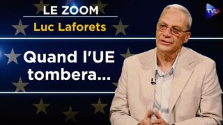VIème République et 4ème voie : une synergie entre classes sociales – Le Zoom – Luc Laforets – TVL VIème République et 4ème voie : une synergie entre classes sociales – Le Zoom – Luc Laforets – TVL