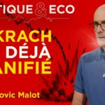 « Vous ne posséderez plus rien » : hold-up légal sur votre épargne ? Ludovic Malot – Politique & Eco « Vous ne posséderez plus rien » : hold-up légal sur votre épargne ? Ludovic Malot – Politique & Eco