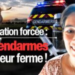 🚨 12 vaches vaccinées de force au petit matin : leur éleveur finit en garde à vue