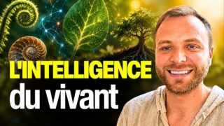Bioélectricité, géométrie, émergence : et si le vivant était plus intelligent qu’on ne le croyait ?