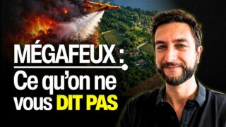 Derrière les flammes, les véritables causes laissées dans l’ombre — Laurent Galtier Derrière les flammes, les véritables causes laissées dans l’ombre — Laurent Galtier