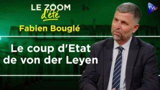 Guerre de l’énergie : Les ennemis de l’intérieur – Zoom d’été – Fabien Bouglé – TVL Guerre de l’énergie : Les ennemis de l’intérieur – Zoom d’été – Fabien Bouglé – TVL