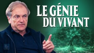 « Il faut réactiver les pouvoirs extraordinaires qui sommeillent en nous » – Didier van Cauwelaert