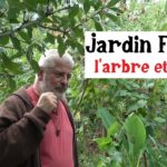 Jardin-forêt, l’arbre et l’eau …( Hervé Covès ) Jardin-forêt, l’arbre et l’eau …( Hervé Covès )