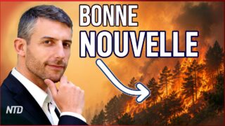 « Notre survie n&rsquo;est pas liée à une question écologique » — Bertrand Alliot