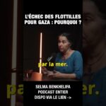 Pourquoi les flottilles pour Gaza ont-elles échouées ? – Selma Benkhelifa et Michel Collon Pourquoi les flottilles pour Gaza ont-elles échouées ? – Selma Benkhelifa et Michel Collon