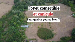 Pourquoi mon jardin reste productif malgré la sécheresse Pourquoi mon jardin reste productif malgré la sécheresse