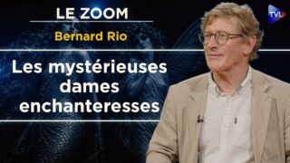 Saintes, fées, sirènes, qui sont les dames enchanteresses ? Zoom – Bernard Rio – TVL Saintes, fées, sirènes, qui sont les dames enchanteresses ? Zoom – Bernard Rio – TVL