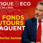 CRISE DE LA ZONE EURO : LA FRANCE DÉTONATEUR ? – Charles Sannat dans Politique & Eco – TVL