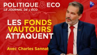 CRISE DE LA ZONE EURO : LA FRANCE DÉTONATEUR ? – Charles Sannat dans Politique & Eco – TVL