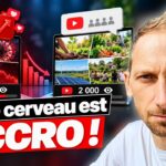 DÉBAT sur le journalisme alternatif : Nexus répond à Je suis Terreau
